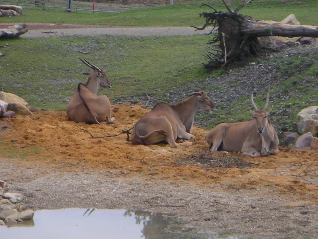 ZOOM Erlebniswelt Gelsenkirchen