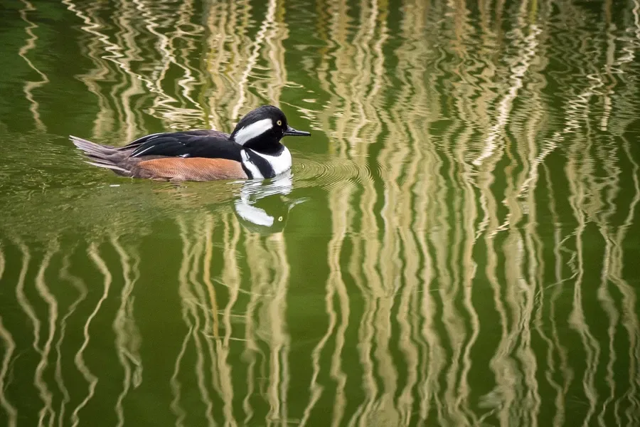 ZOOM Erlebniswelt Gelsenkirchen