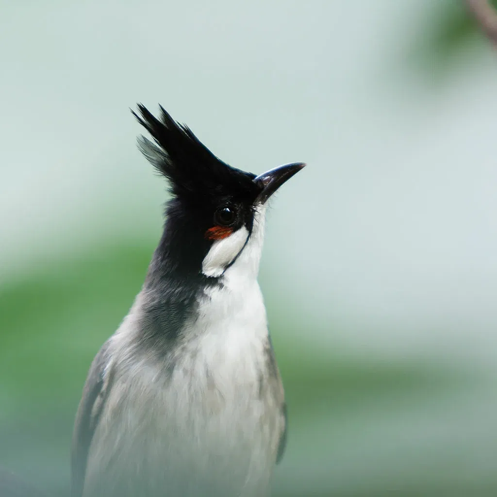 ZOOM Erlebniswelt Gelsenkirchen