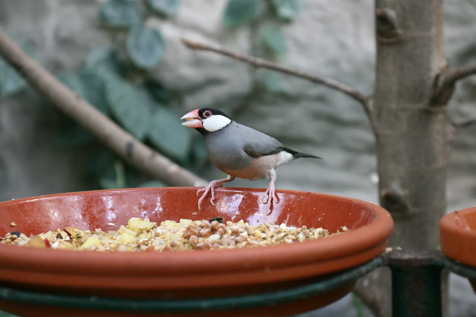 ZOOM Erlebniswelt Gelsenkirchen
