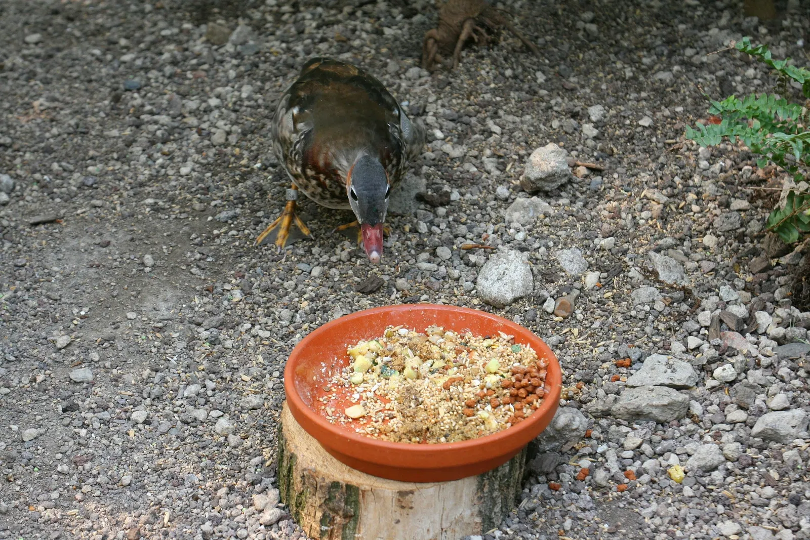ZOOM Erlebniswelt Gelsenkirchen