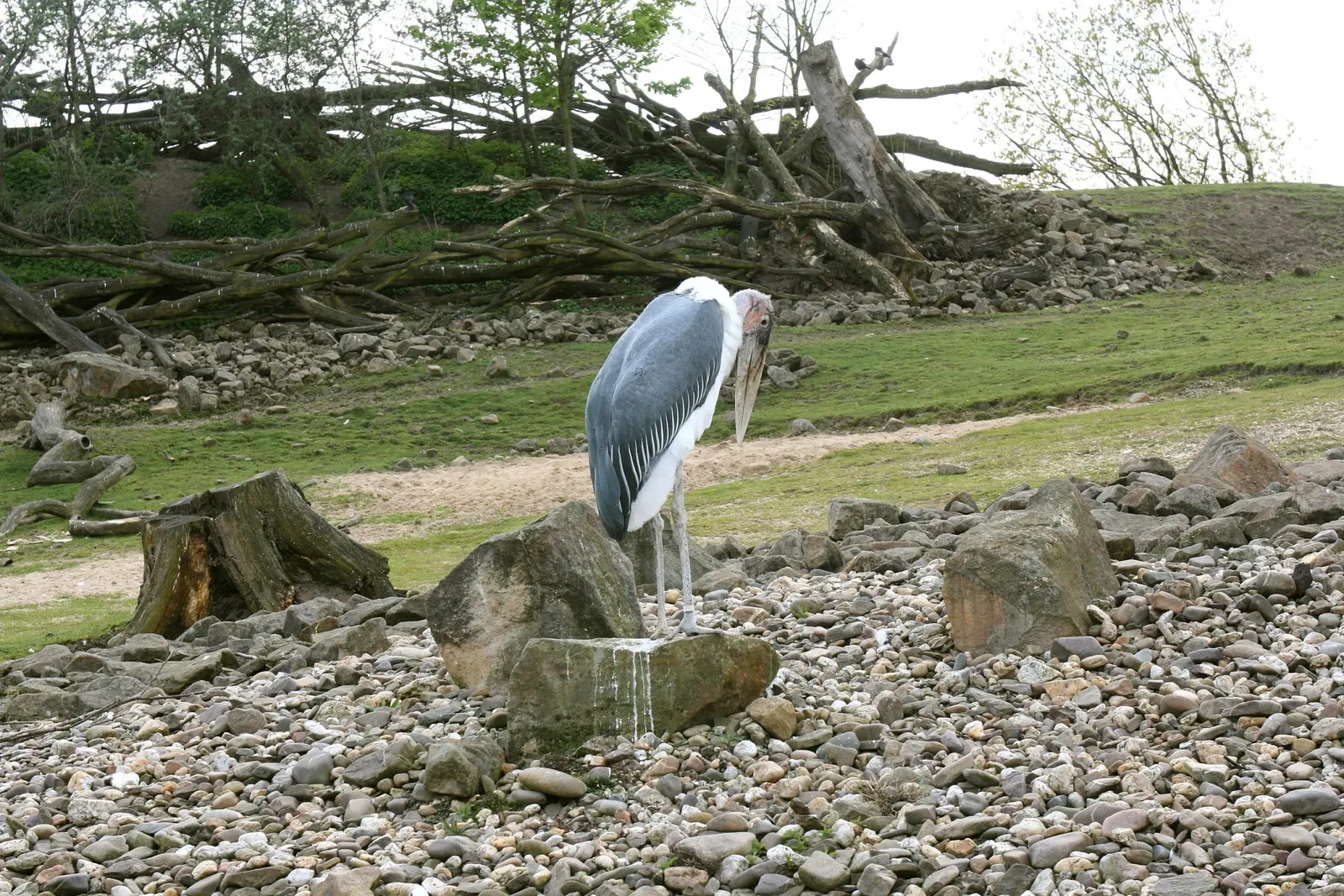 ZOOM Erlebniswelt Gelsenkirchen