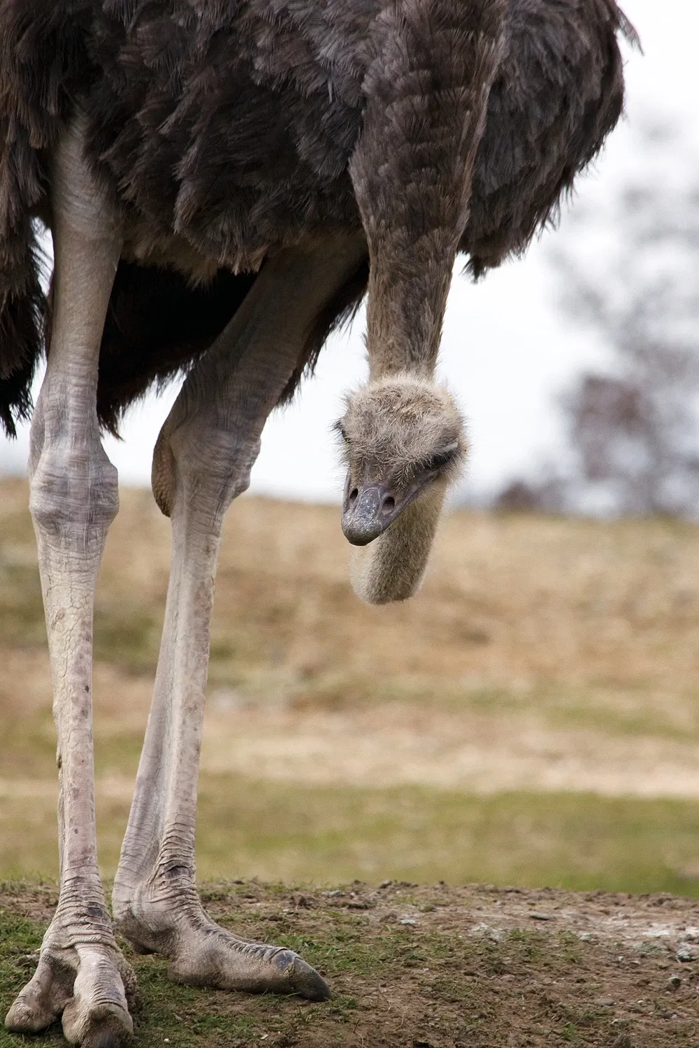 ZOOM Erlebniswelt Gelsenkirchen