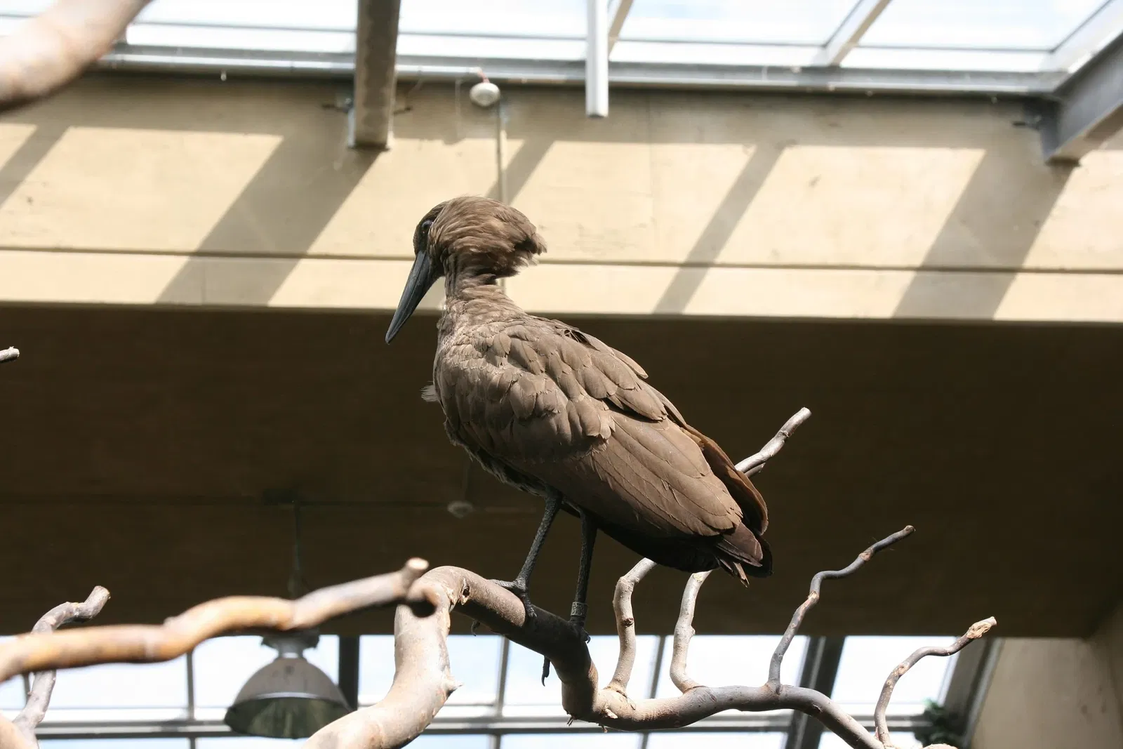 ZOOM Erlebniswelt Gelsenkirchen
