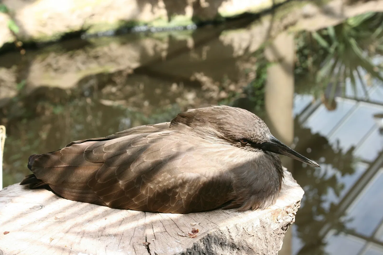 ZOOM Erlebniswelt Gelsenkirchen