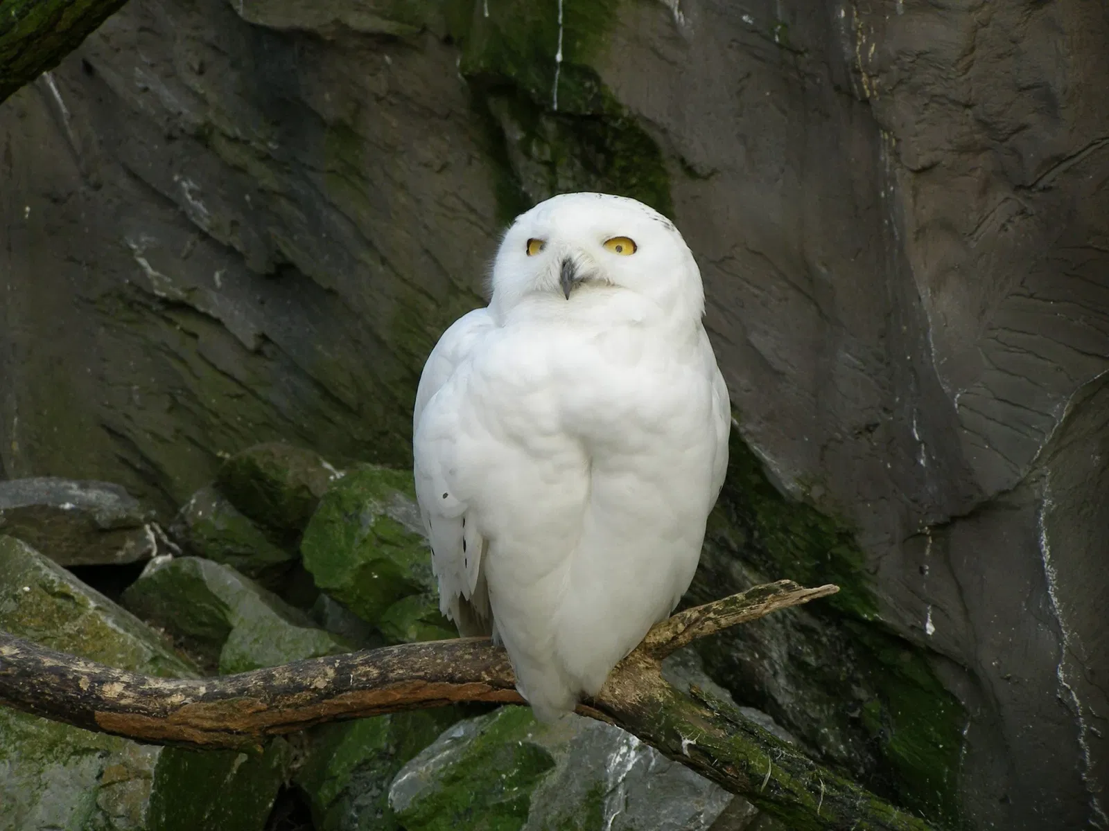ZOOM Erlebniswelt Gelsenkirchen