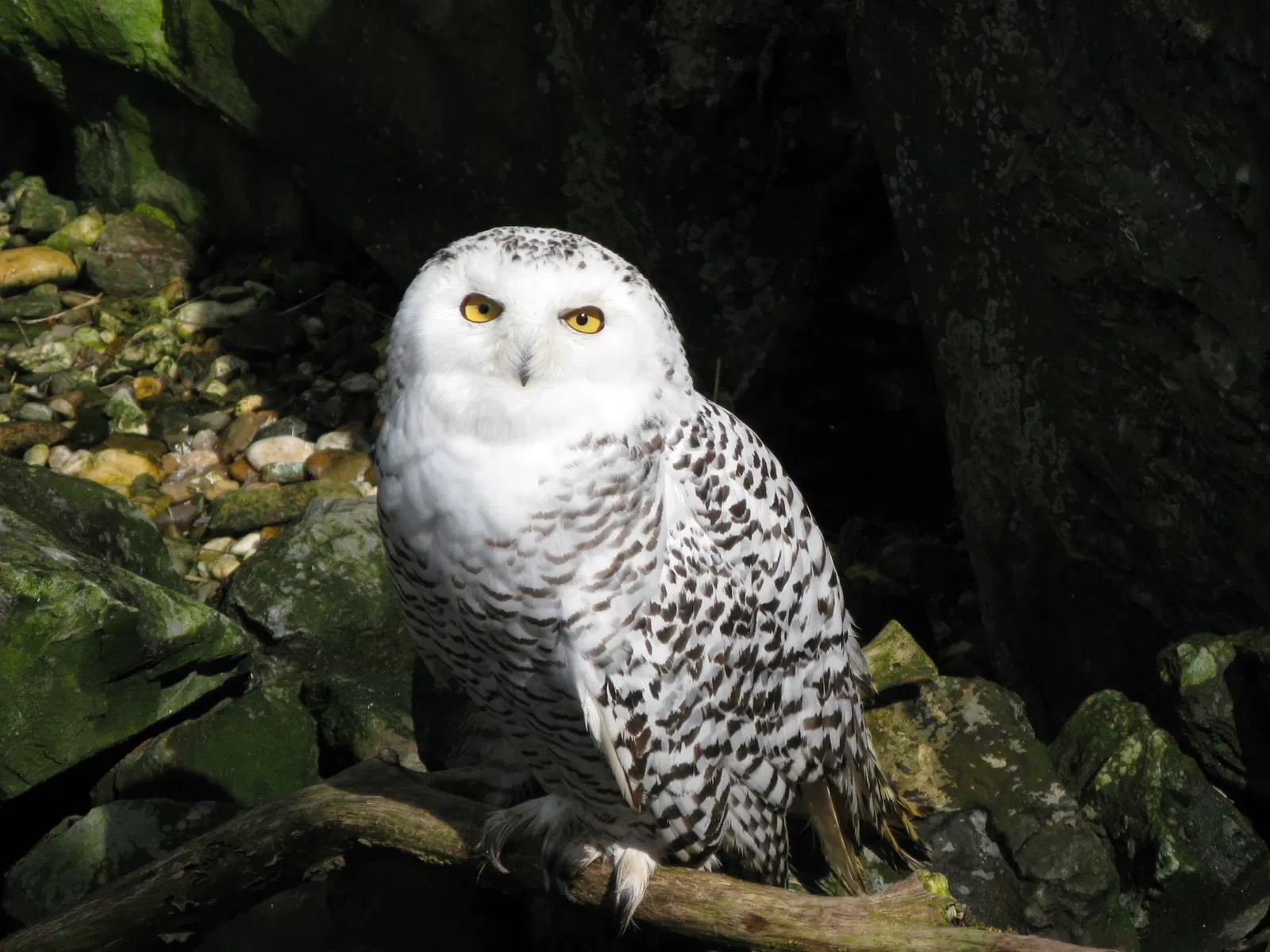 ZOOM Erlebniswelt Gelsenkirchen