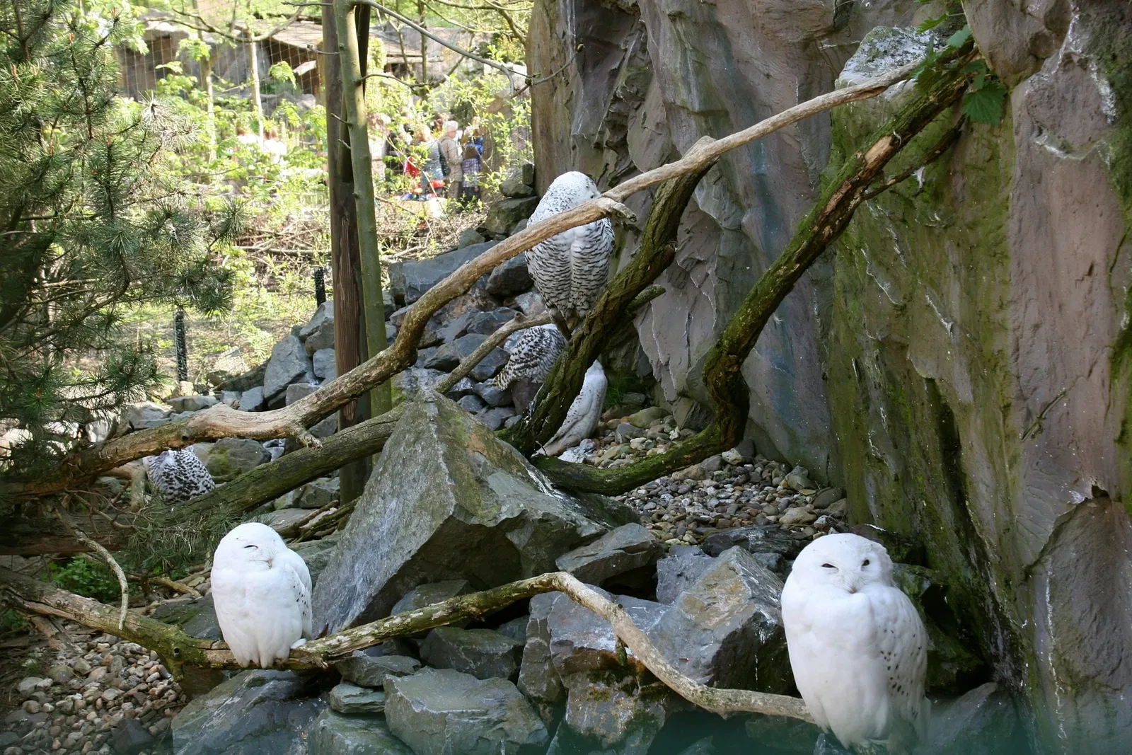 ZOOM Erlebniswelt Gelsenkirchen