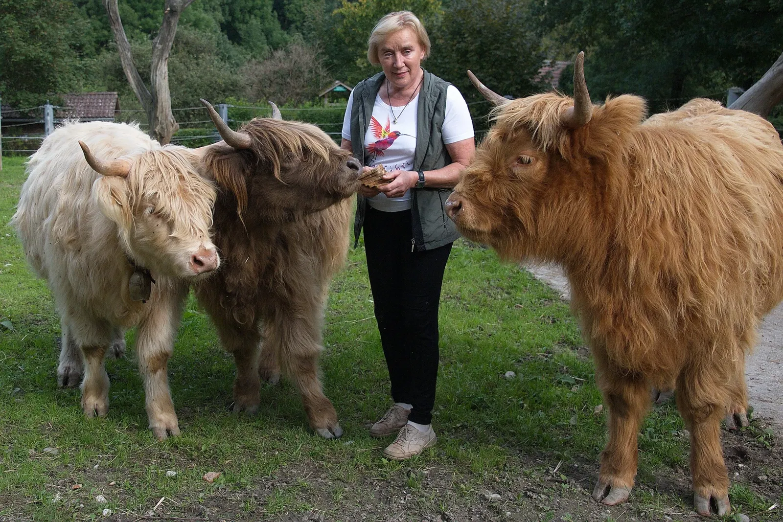 Tiergarten & Reiterhof Walding