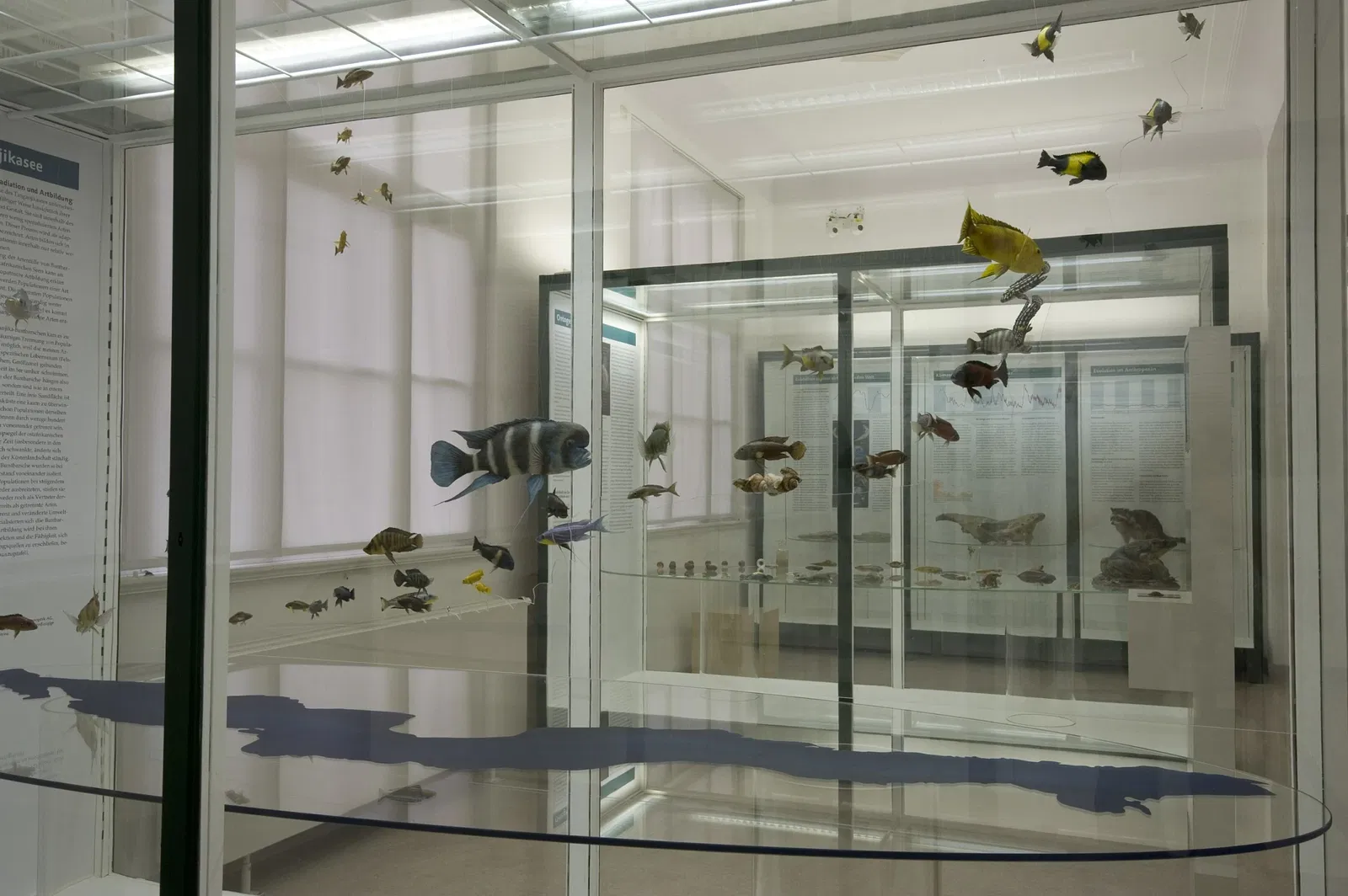 Jena Phyletisches Museum