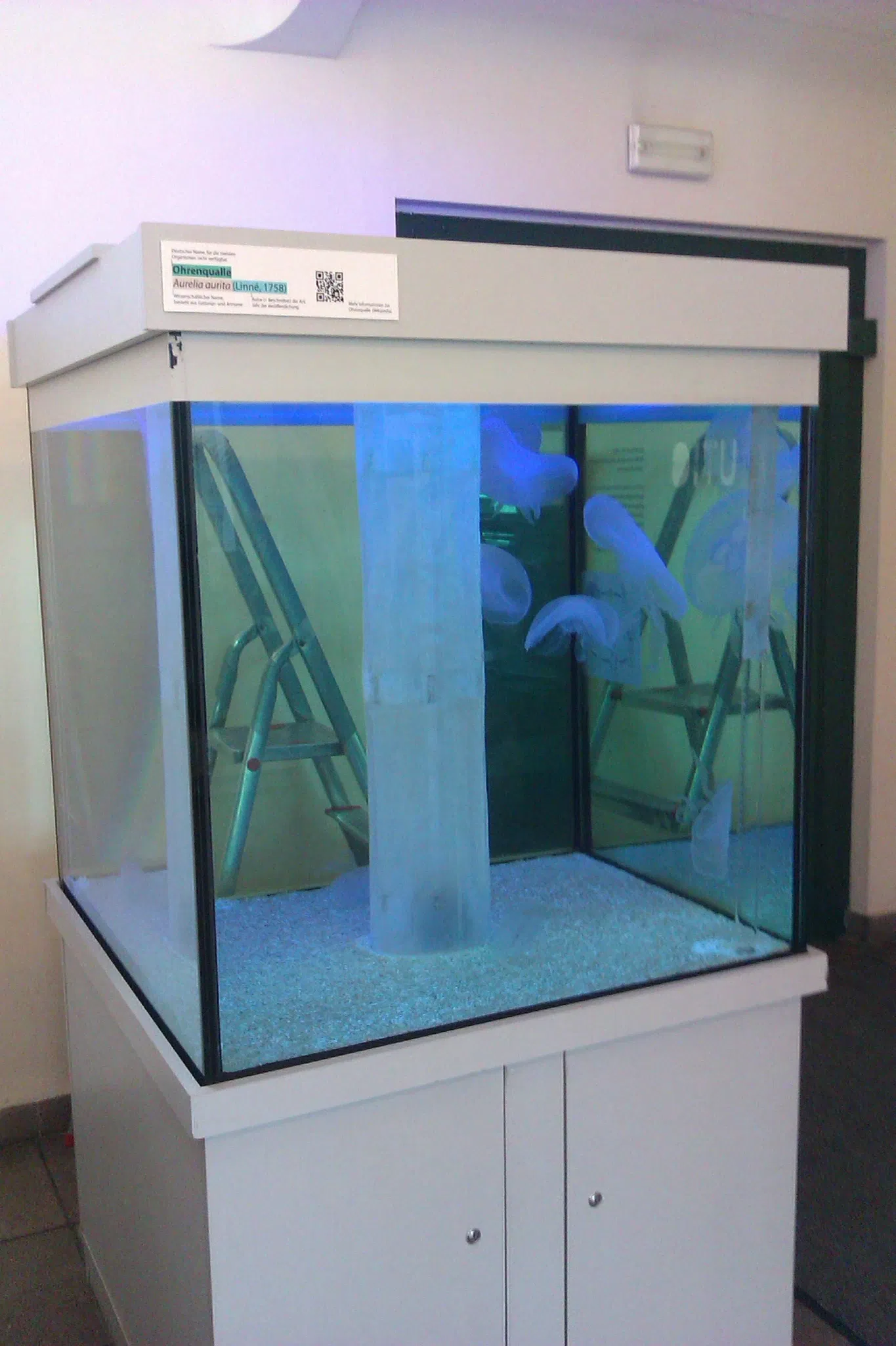 Phyletic Museum Jena