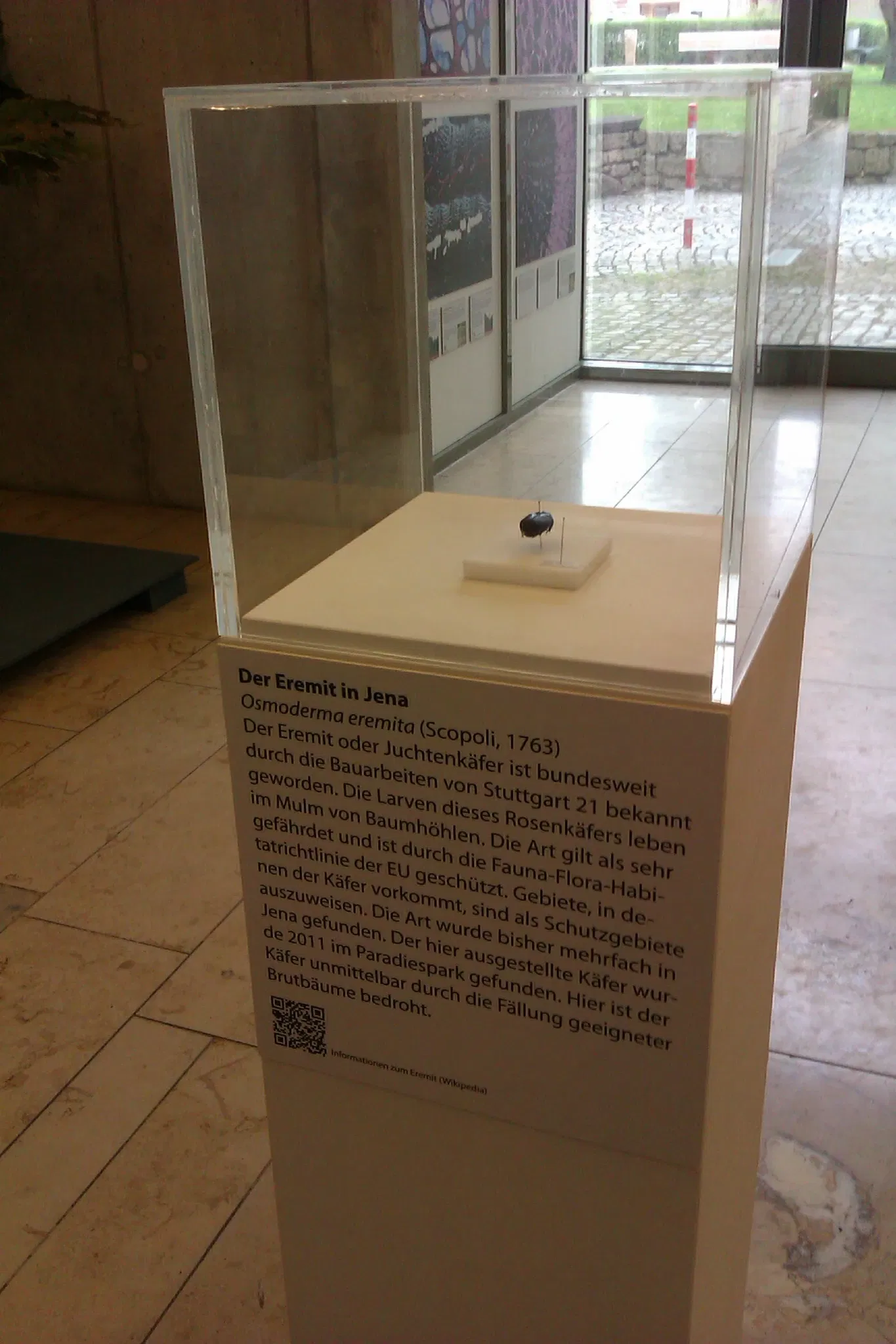 Jena Phyletisches Museum