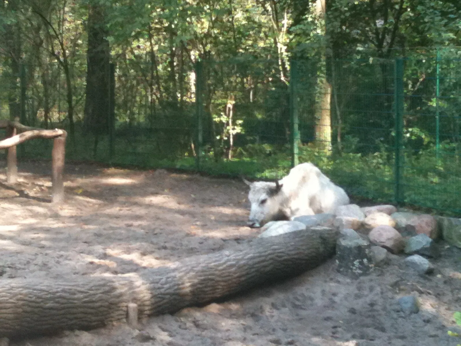 Cottbus Zoo