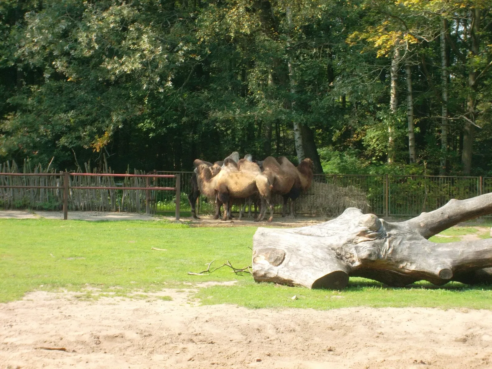 Cottbus Zoo