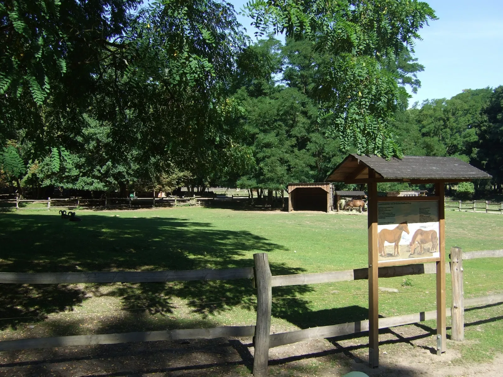 Wildpark Frankfurt (Oder)