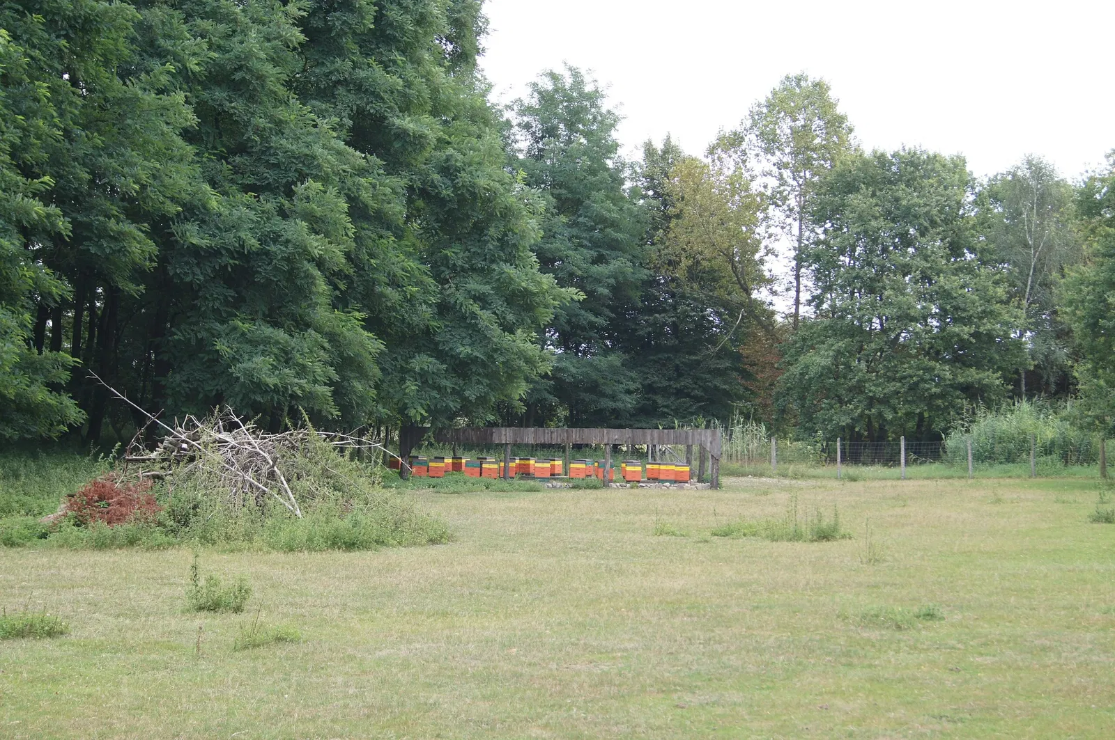 Wildpark Frankfurt (Oder)