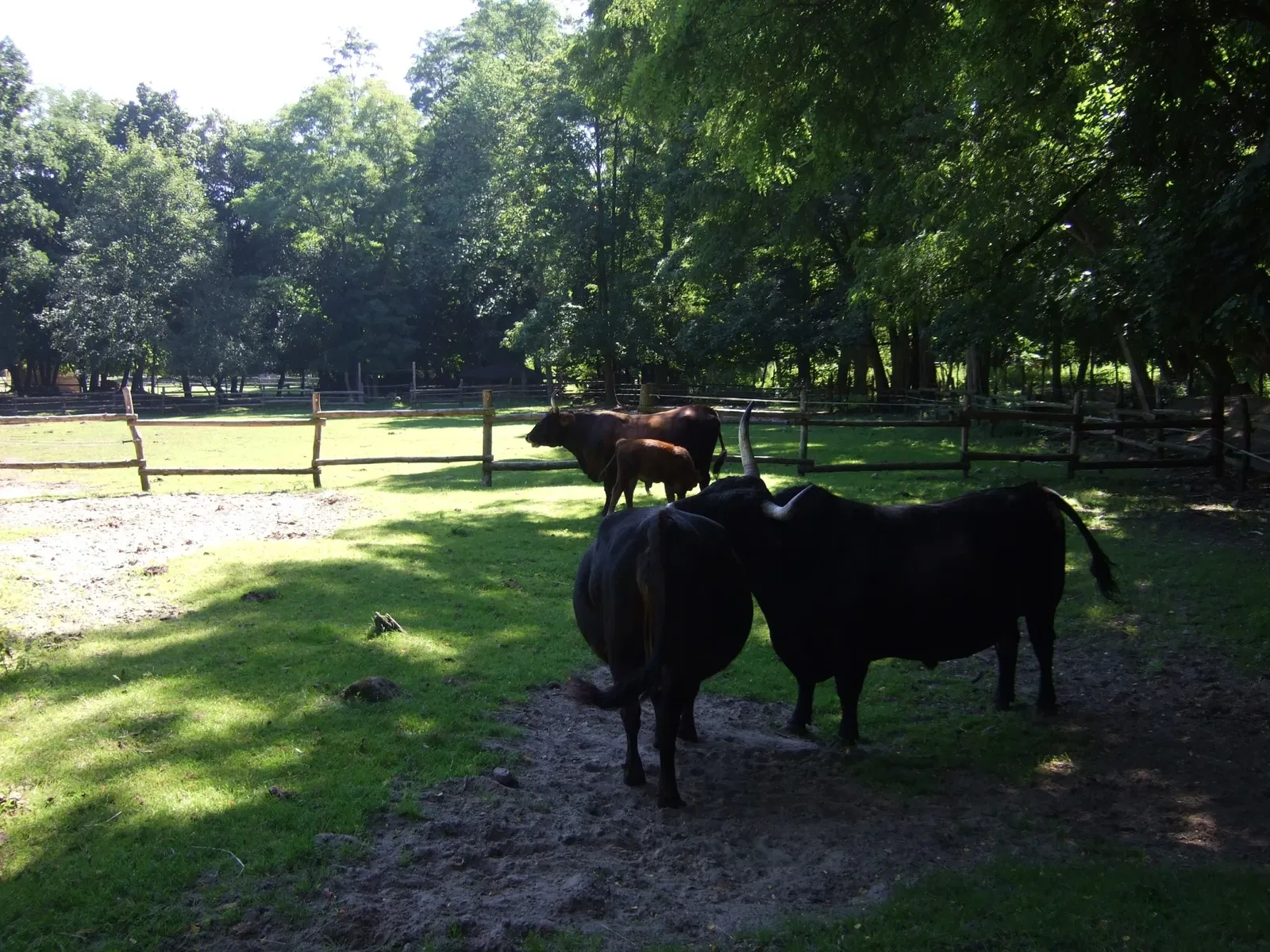 Wildpark Frankfurt (Oder)