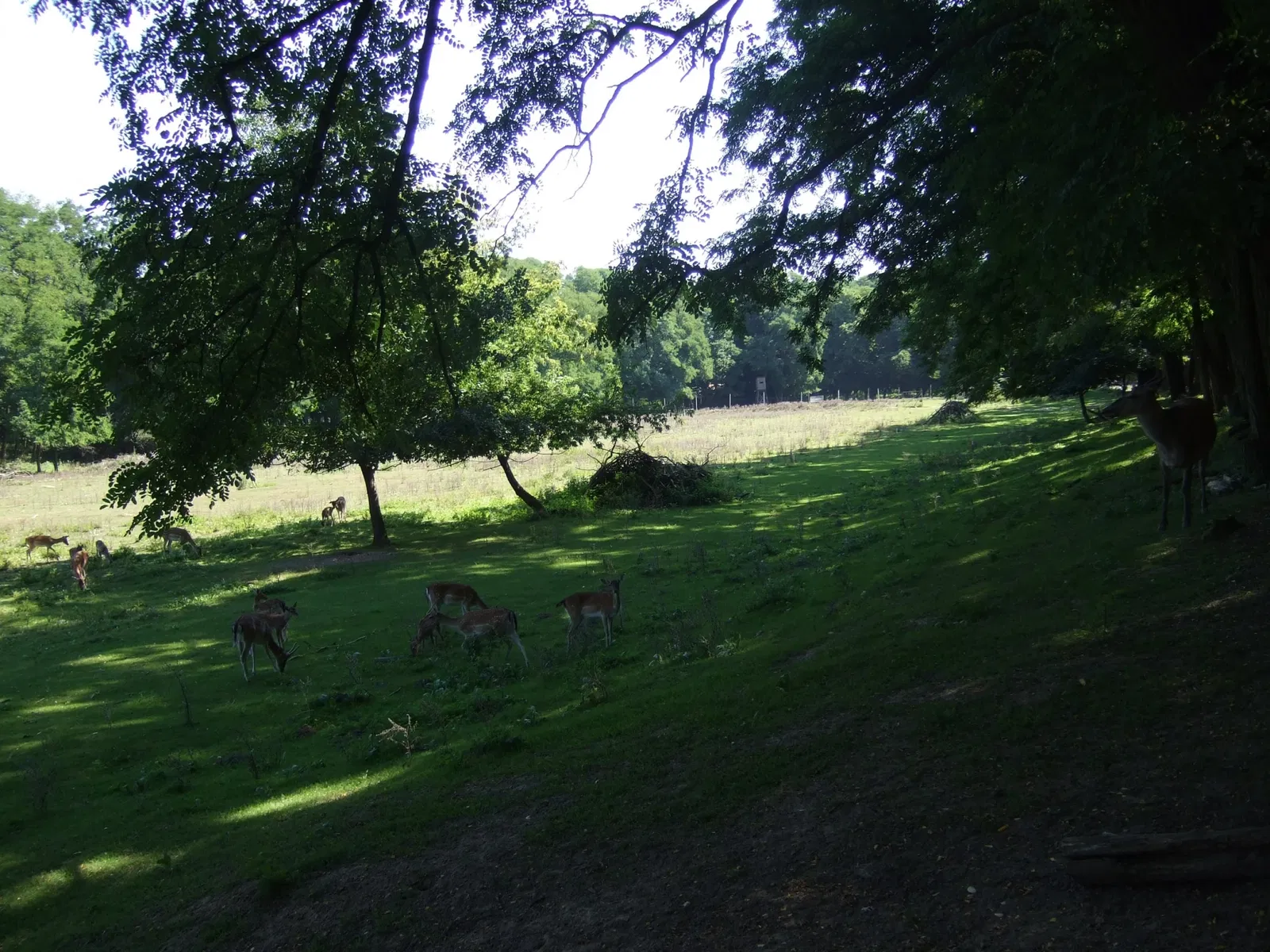 Wildpark Frankfurt (Oder)