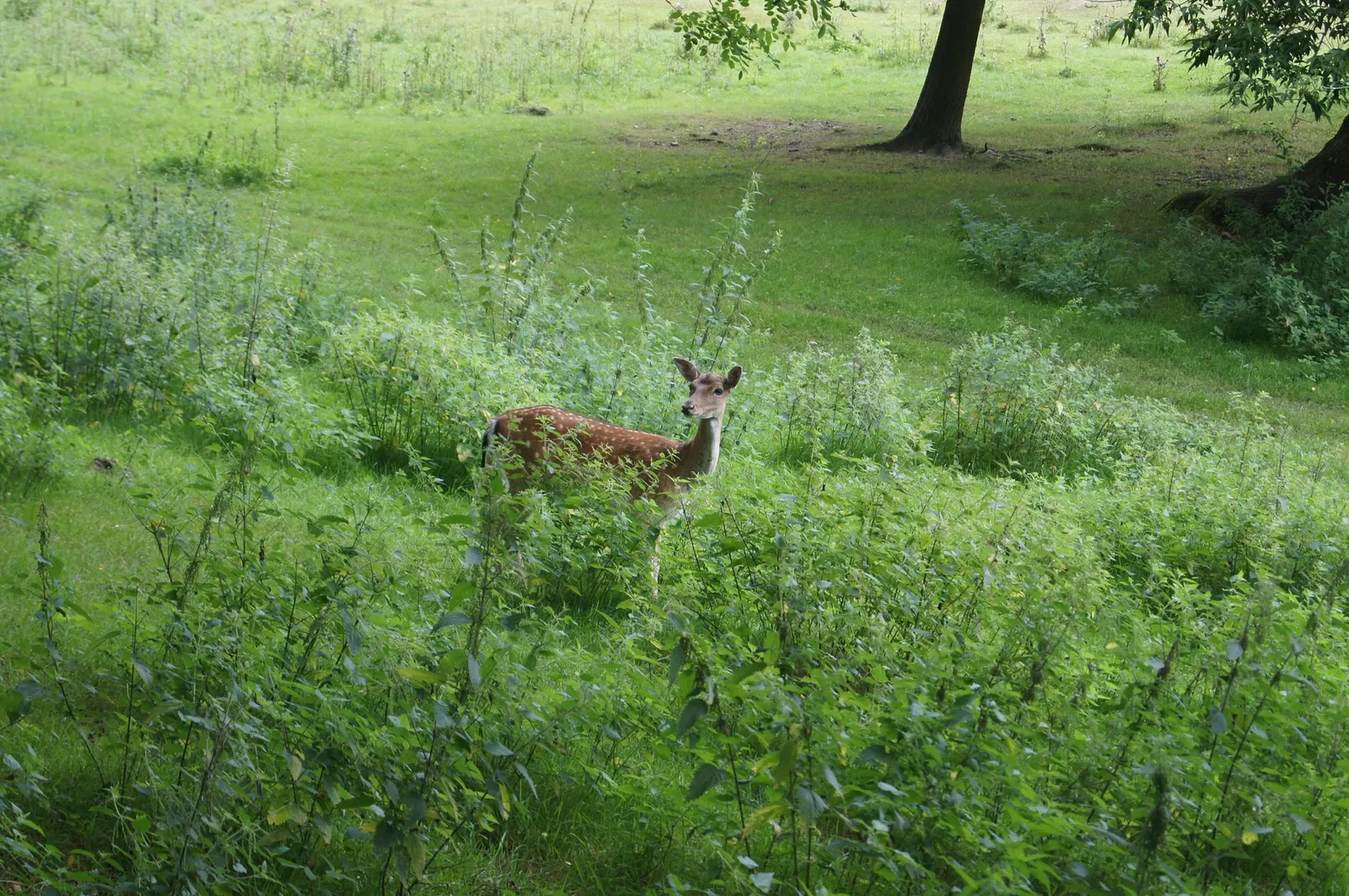 Wildpark Frankfurt (Oder)