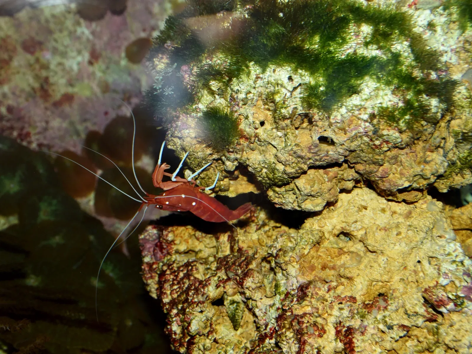 Zoo de Francfort-sur-le-Main