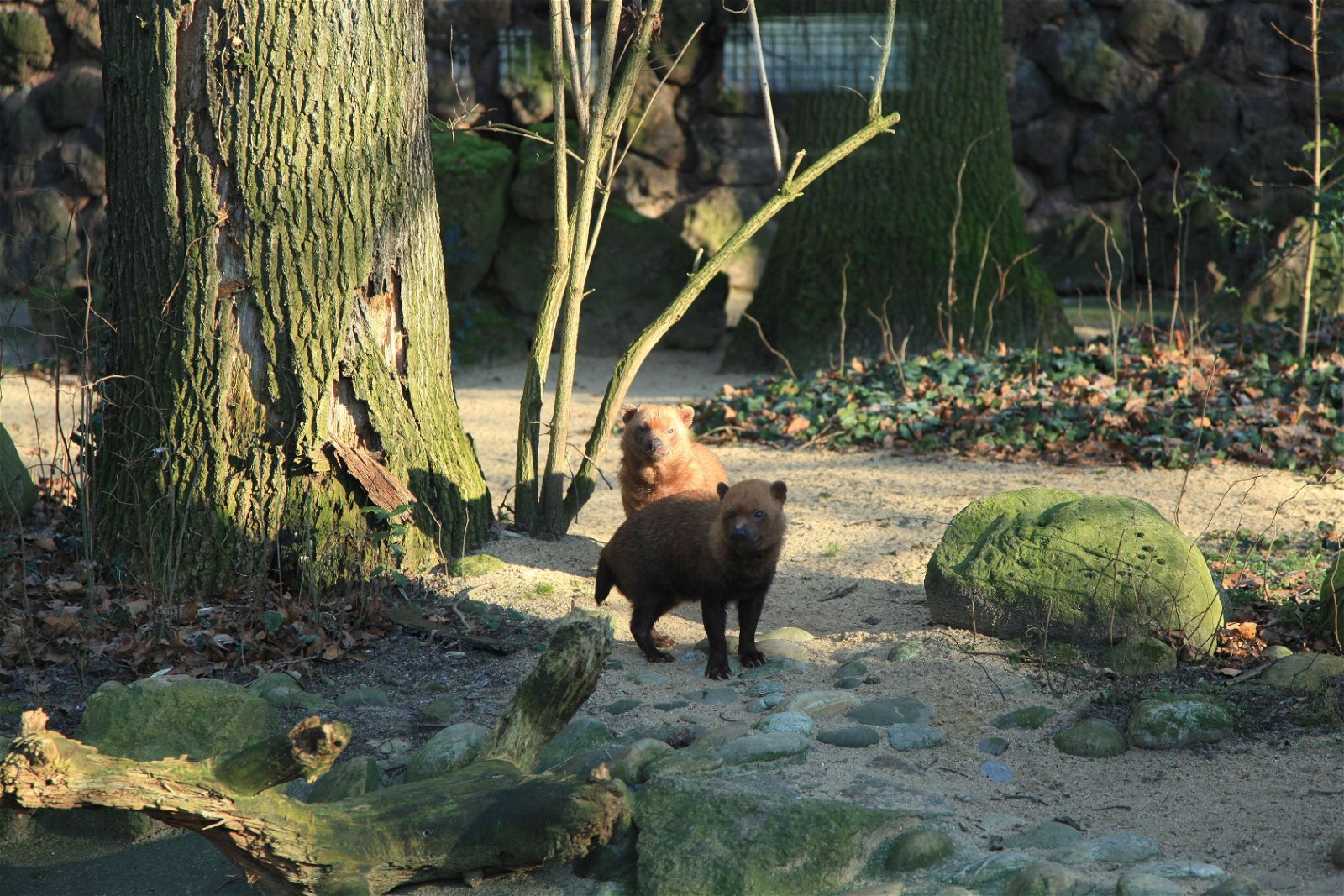 Dortmund Zoo