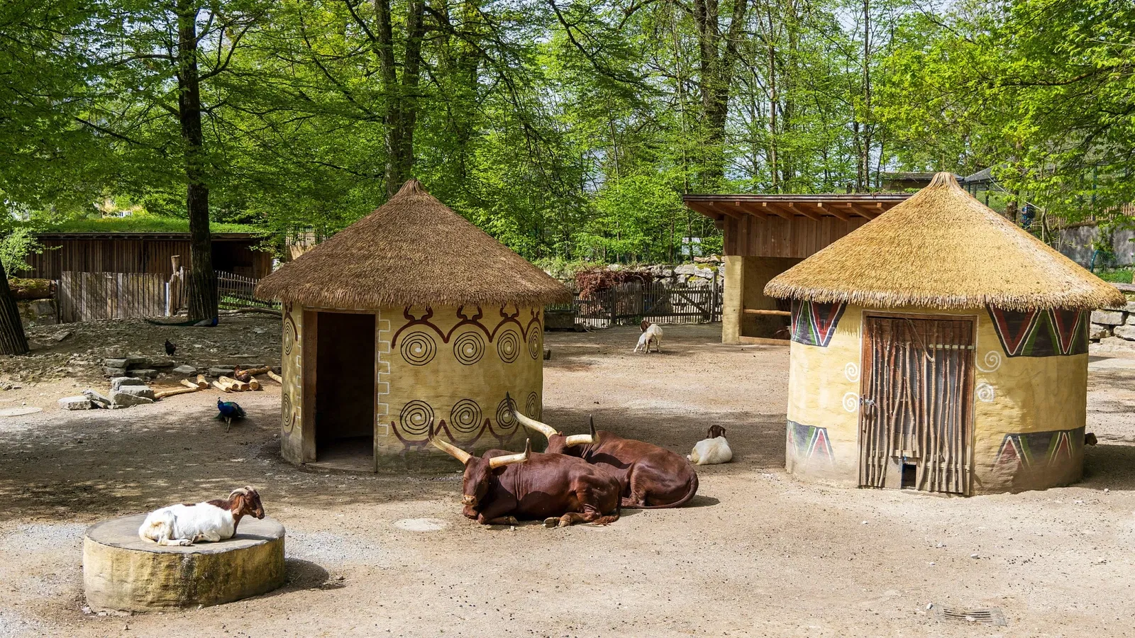 Zoo de Salzbourg
