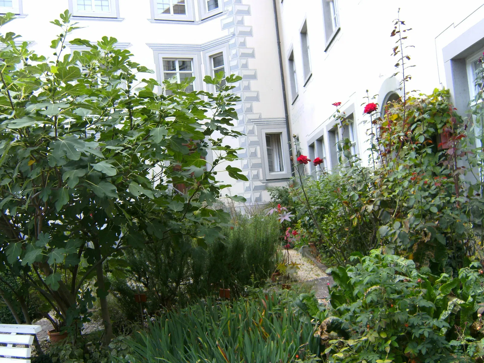 Bibelgalerie Stadtbücherei