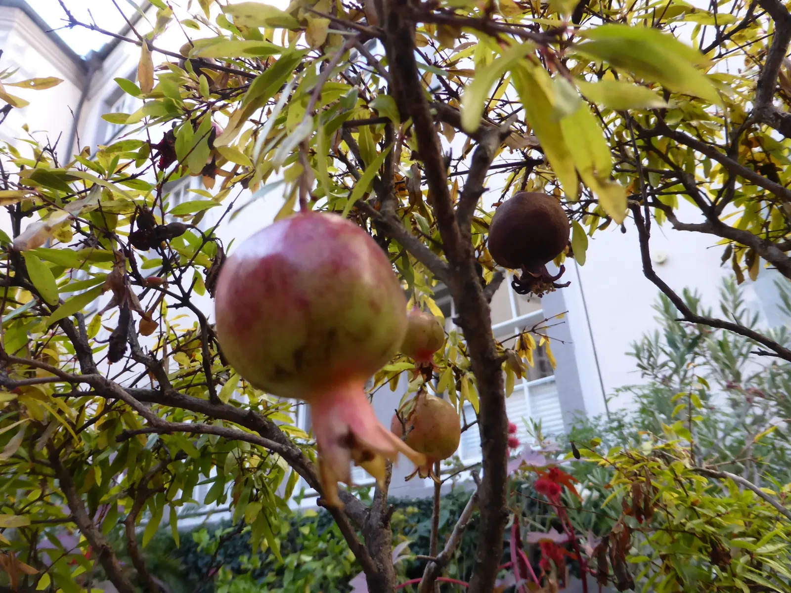 Bibelgalerie Stadtbücherei