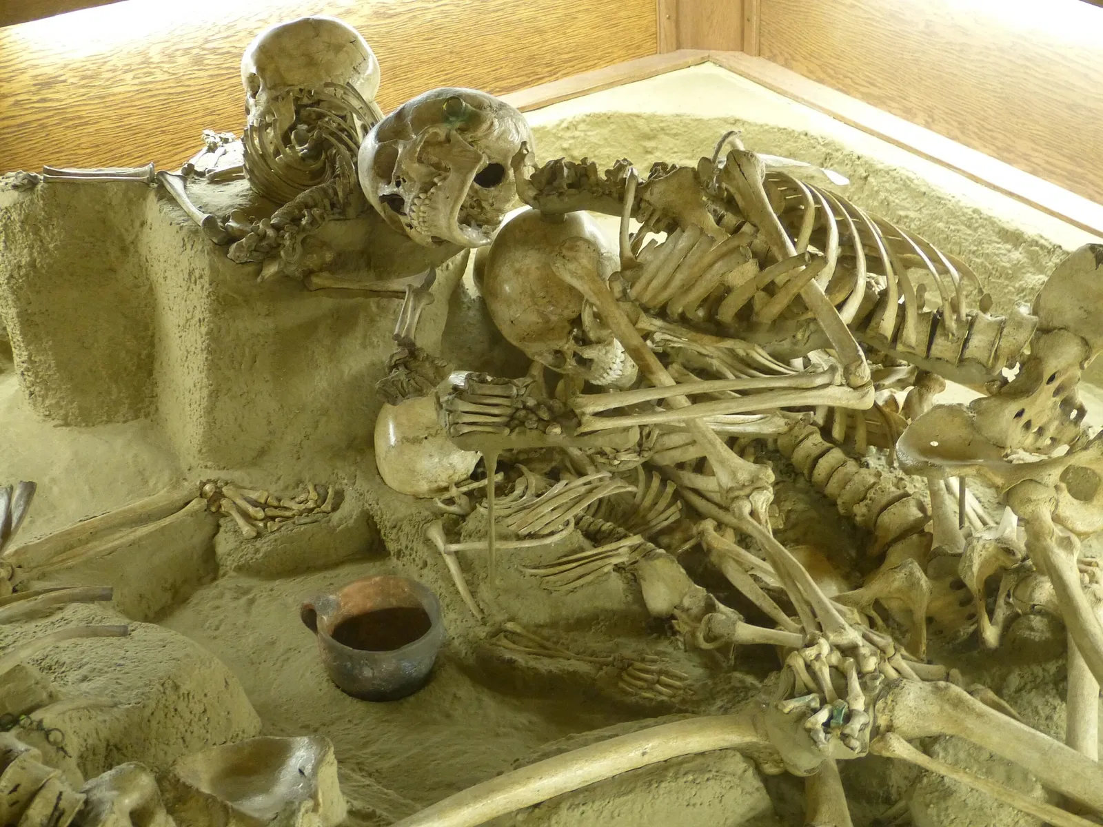 Stillfried-Zentrum der Urzeit