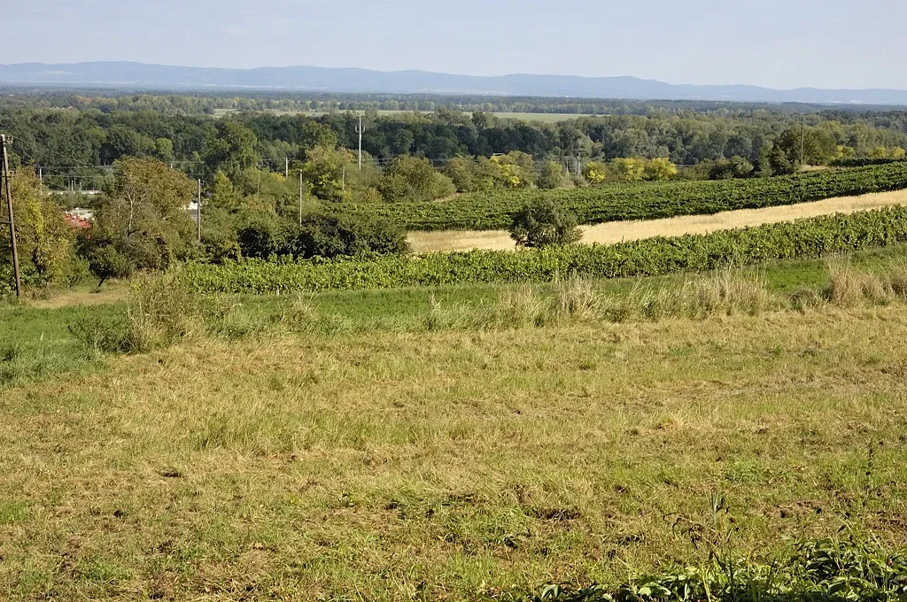 Stillfried-Zentrum der Urzeit