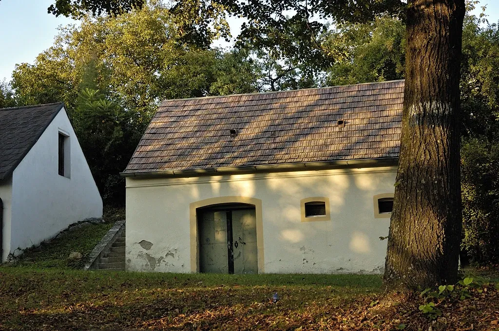 Stillfried-Zentrum der Urzeit