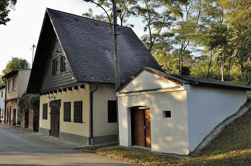 Stillfried-Zentrum der Urzeit