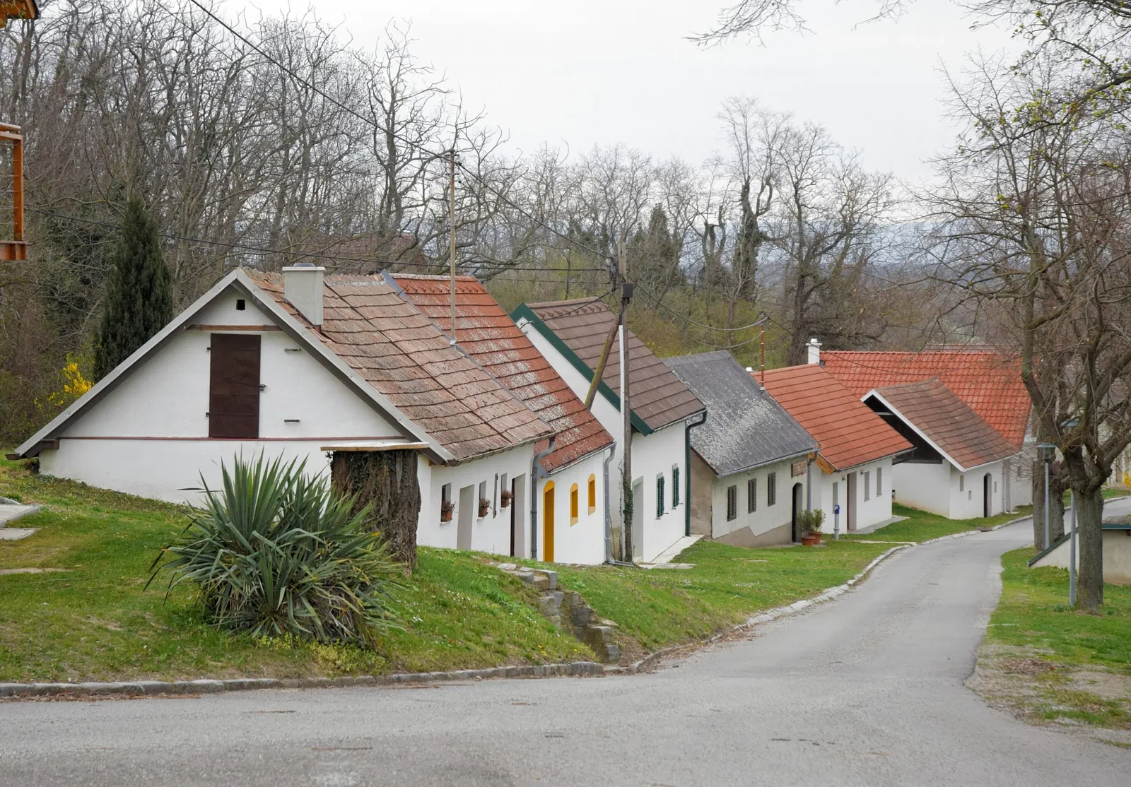 Stillfried-Zentrum der Urzeit