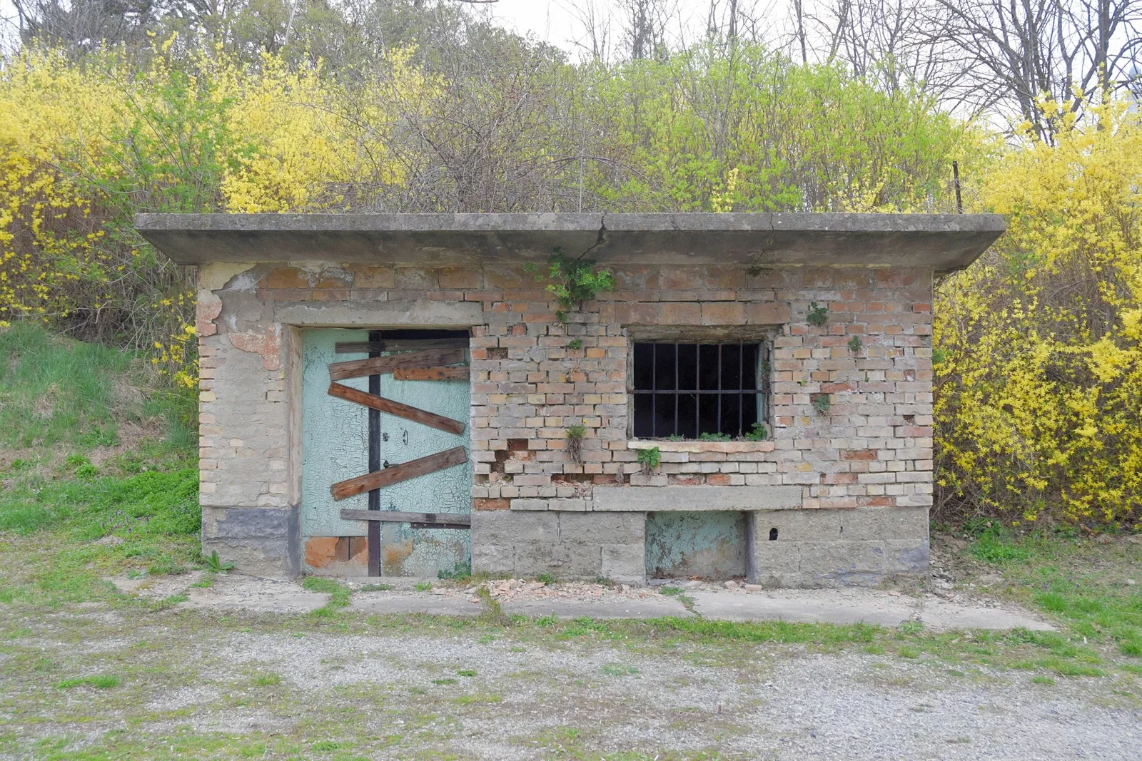 Stillfried-Zentrum der Urzeit