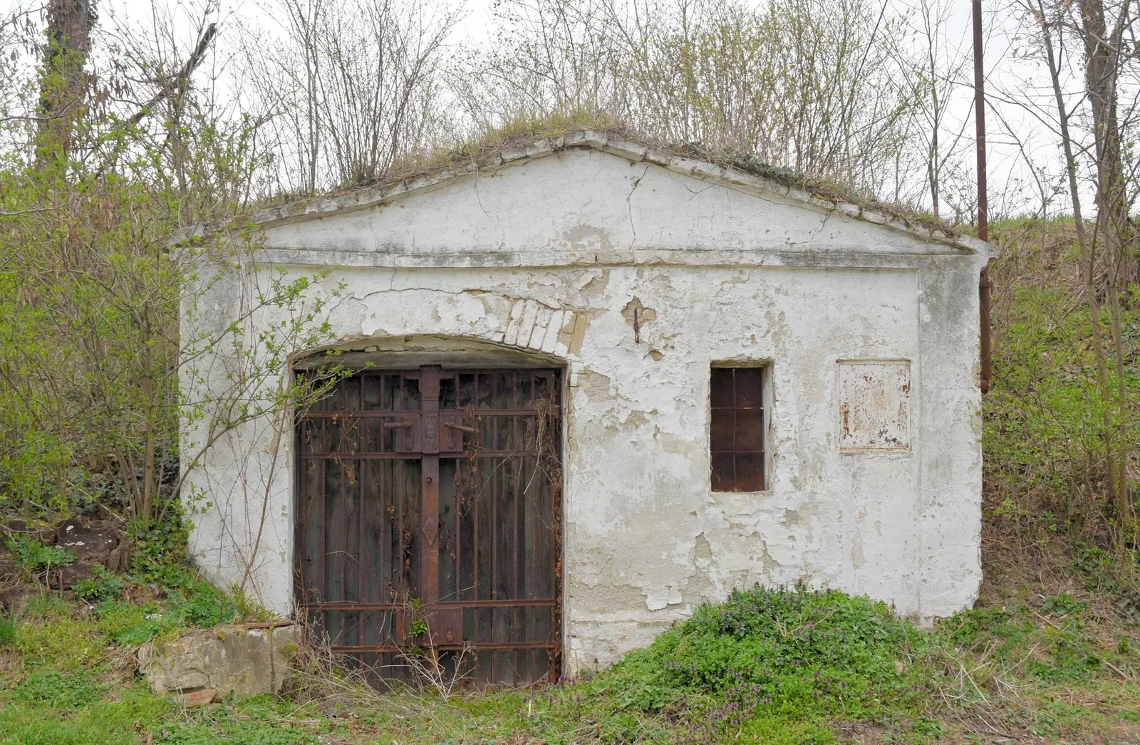 Stillfried-Zentrum der Urzeit