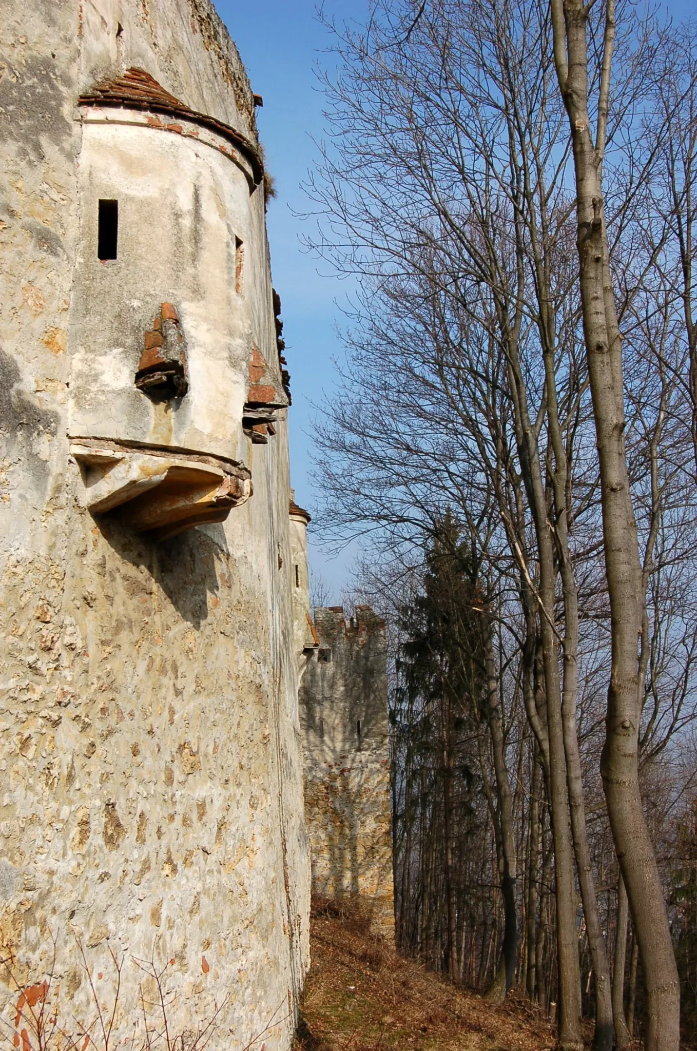 Castello di Seebenstein