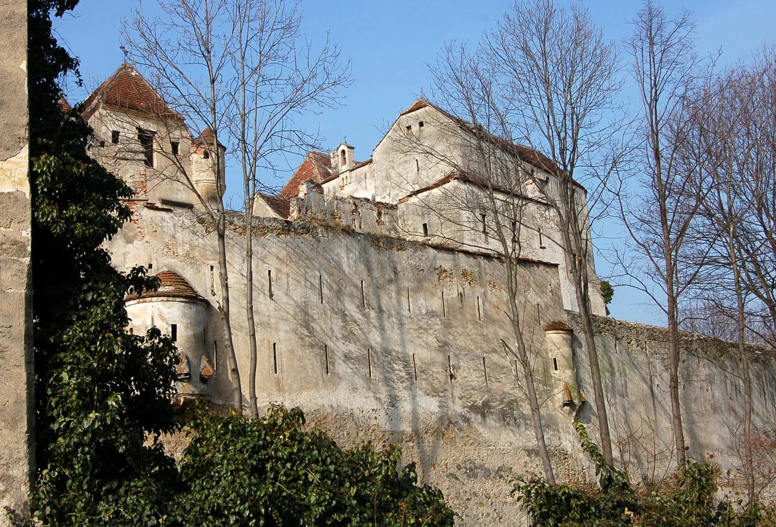 Seebenstein Castle