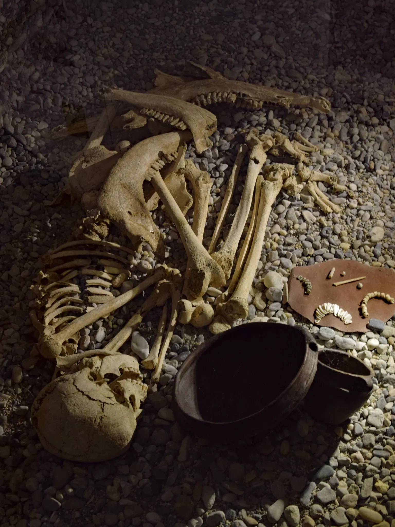 Urzeitmuseum Nußdorf ob der Traisen