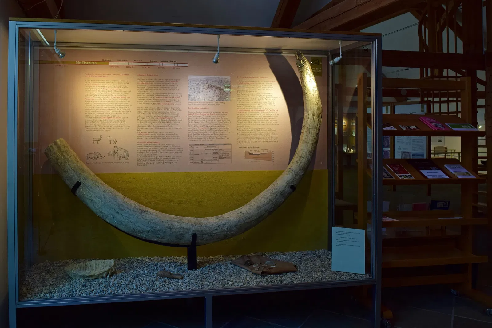 Urzeitmuseum Nußdorf ob der Traisen