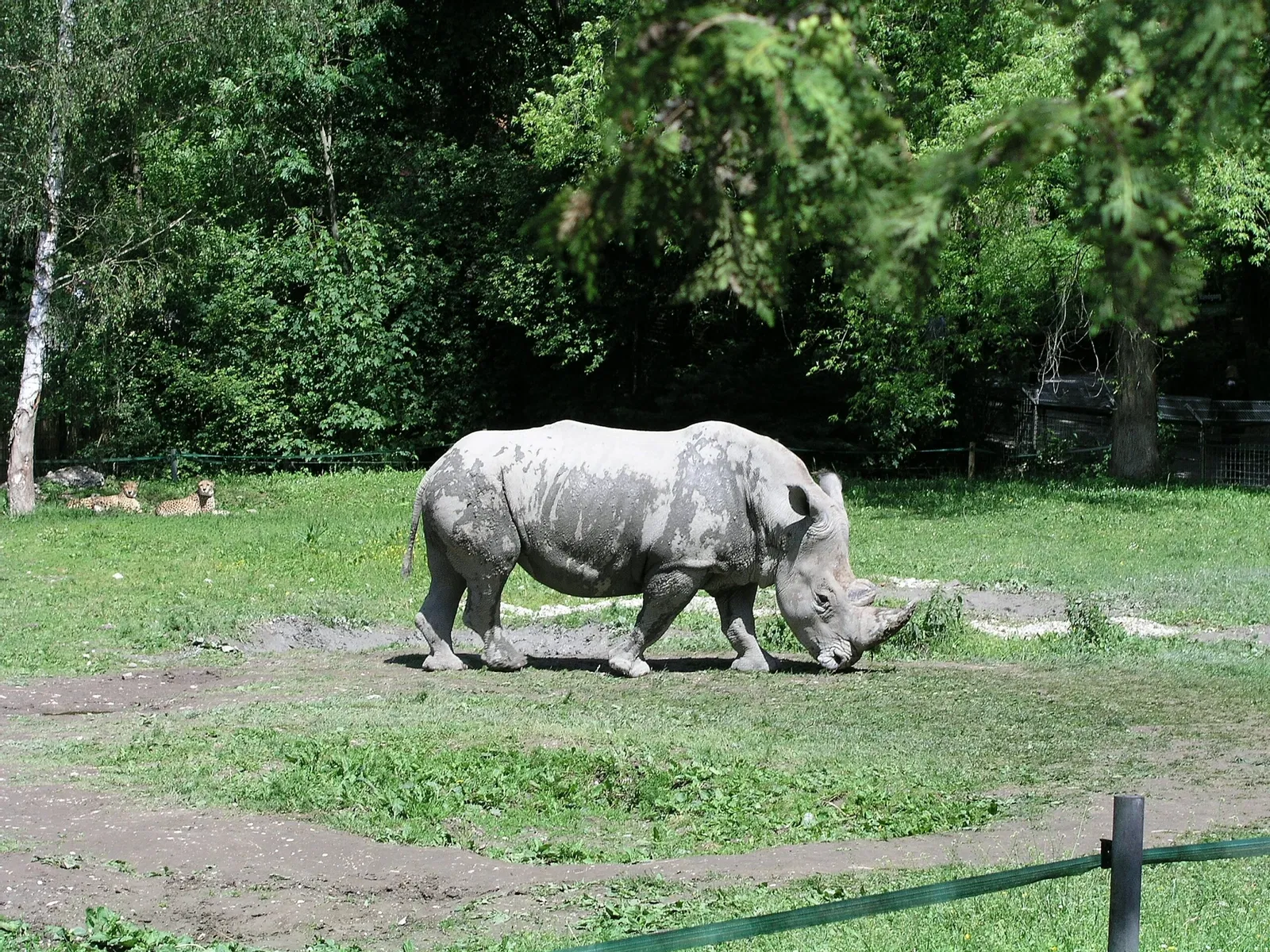 Schmiding ZOO