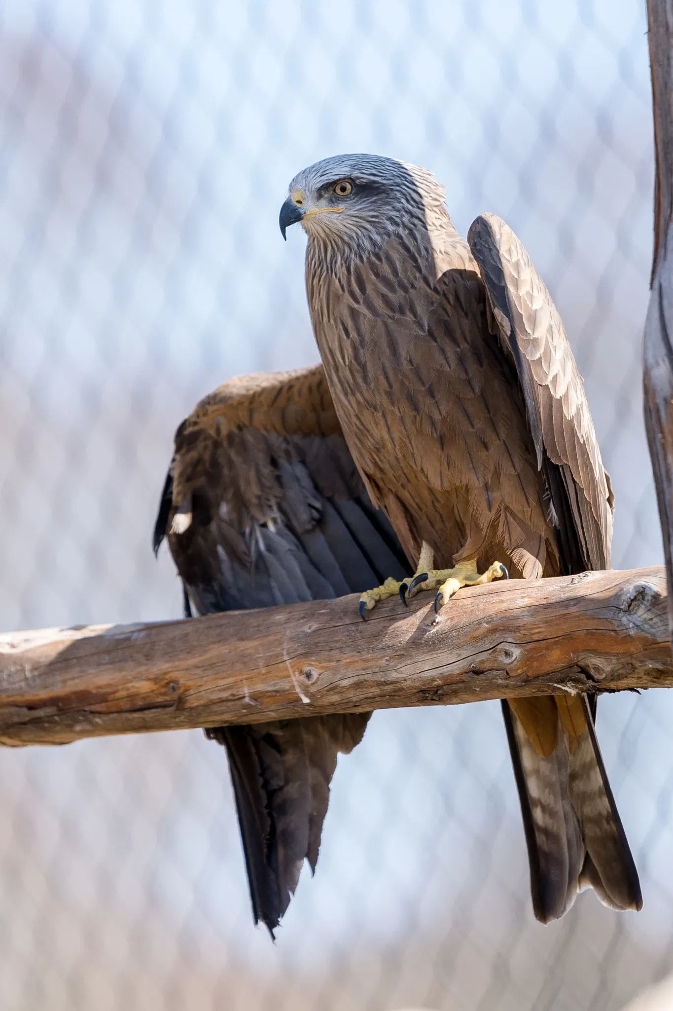 Parc Animalier La Garenne