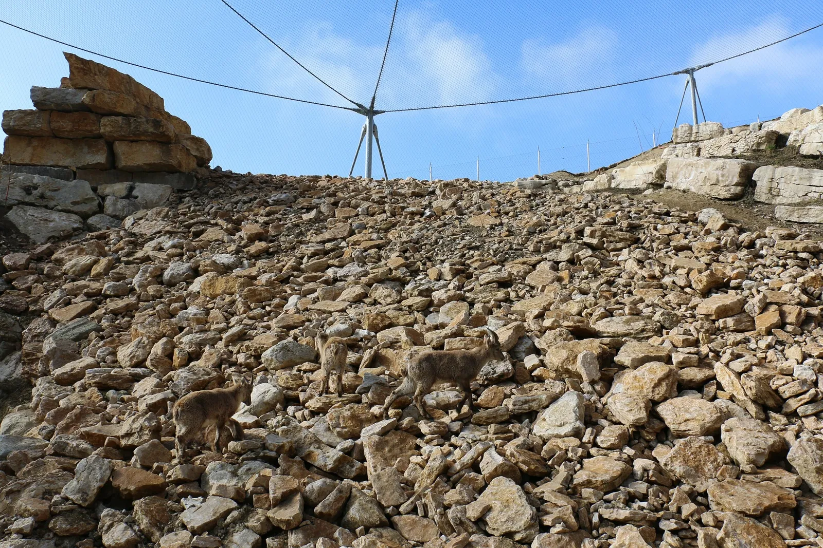 Parc Animalier La Garenne