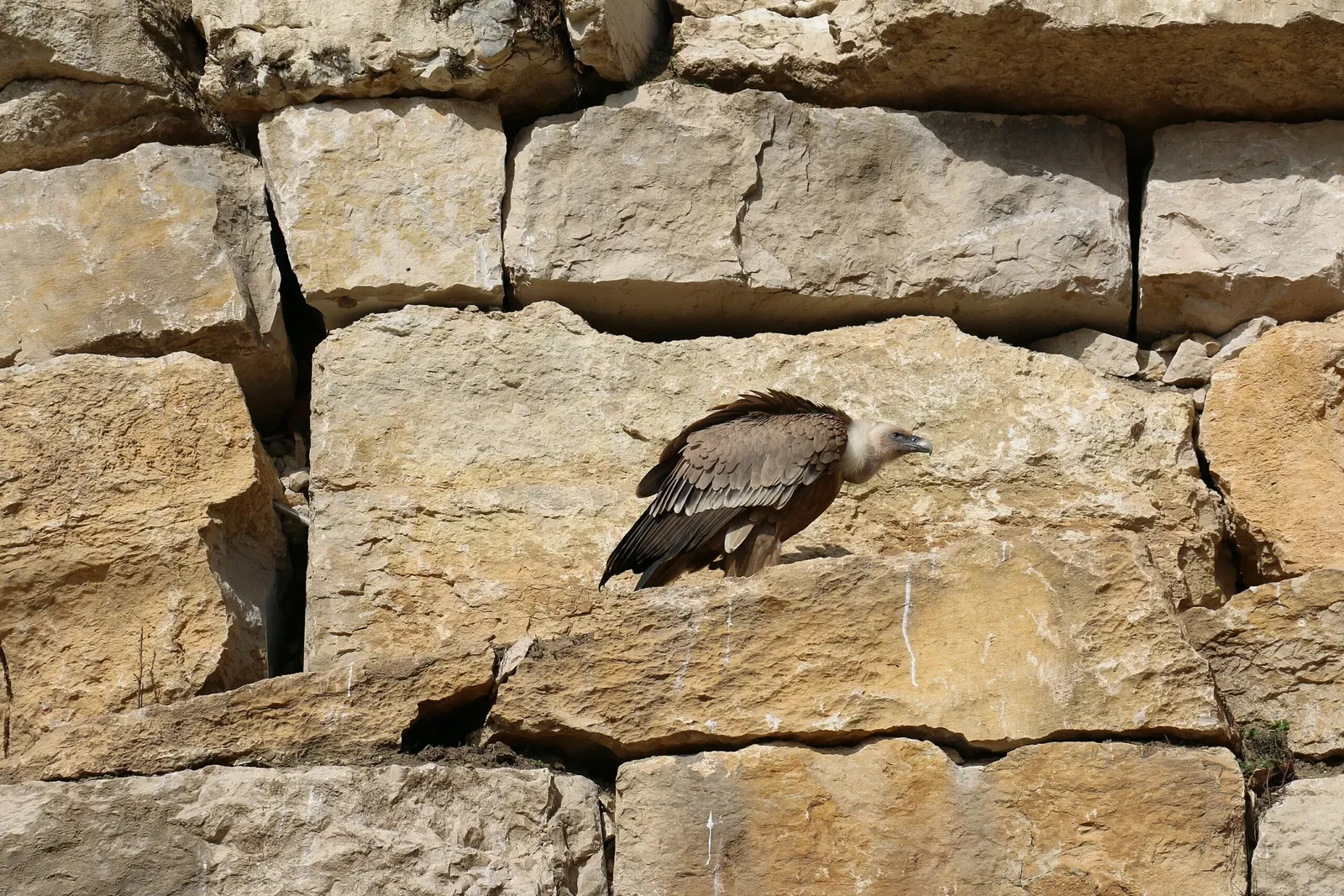 Parc Animalier La Garenne