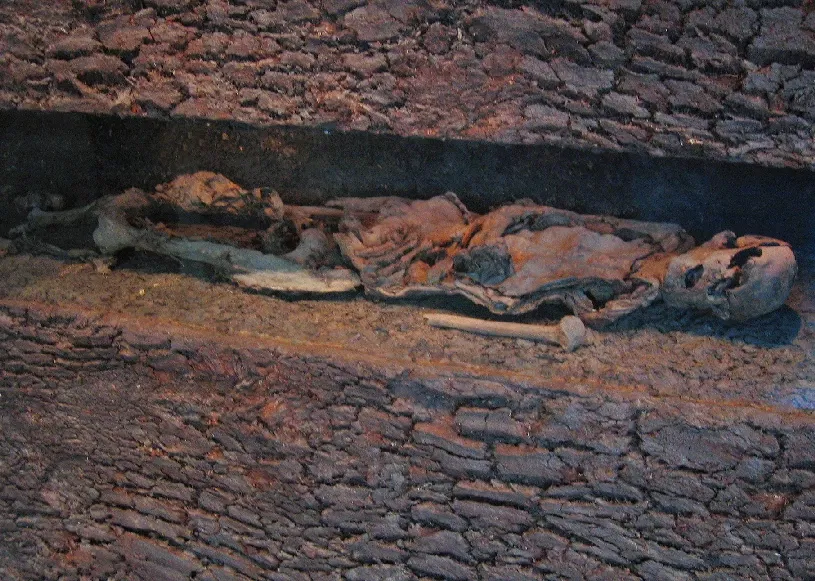 Landesmuseum für Natur und Mensch