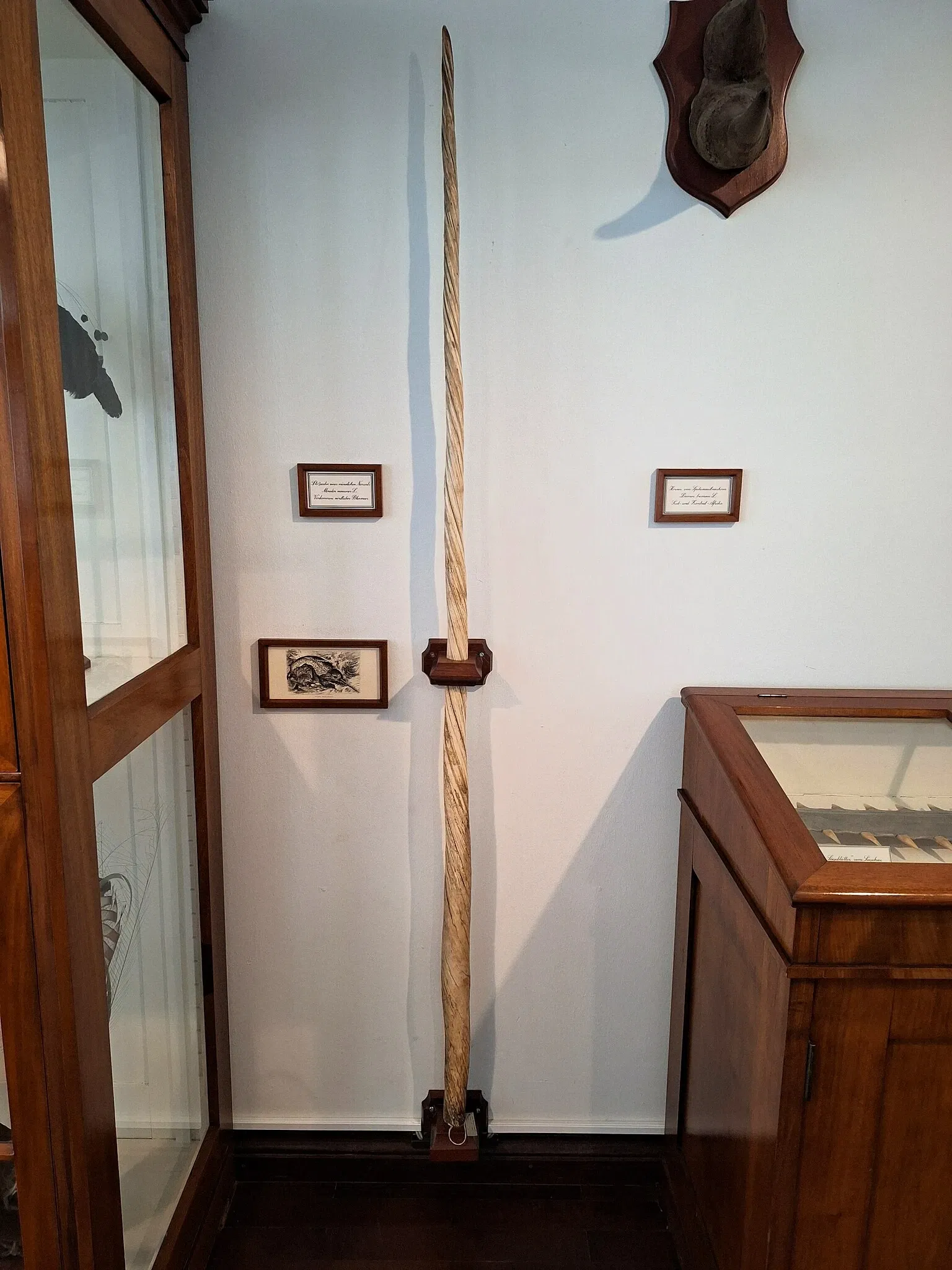 State Museum for Nature and Man