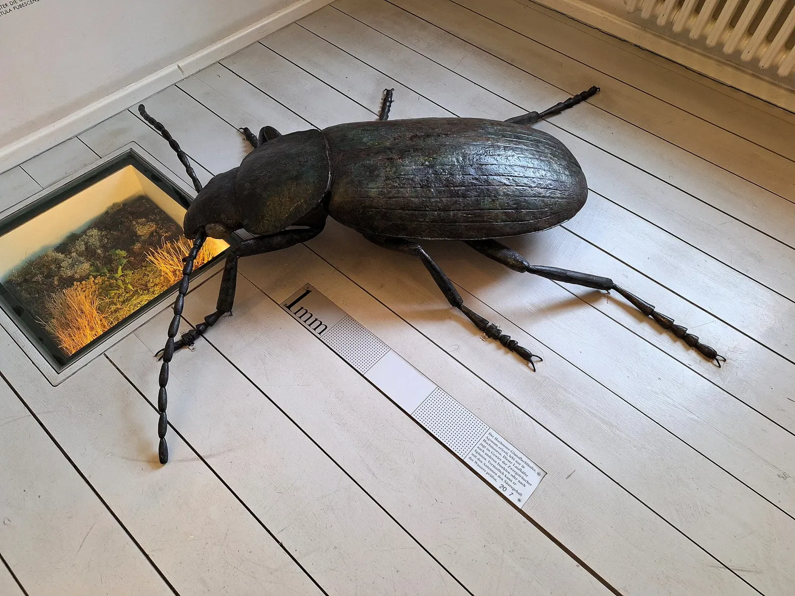 Landesmuseum für Natur und Mensch