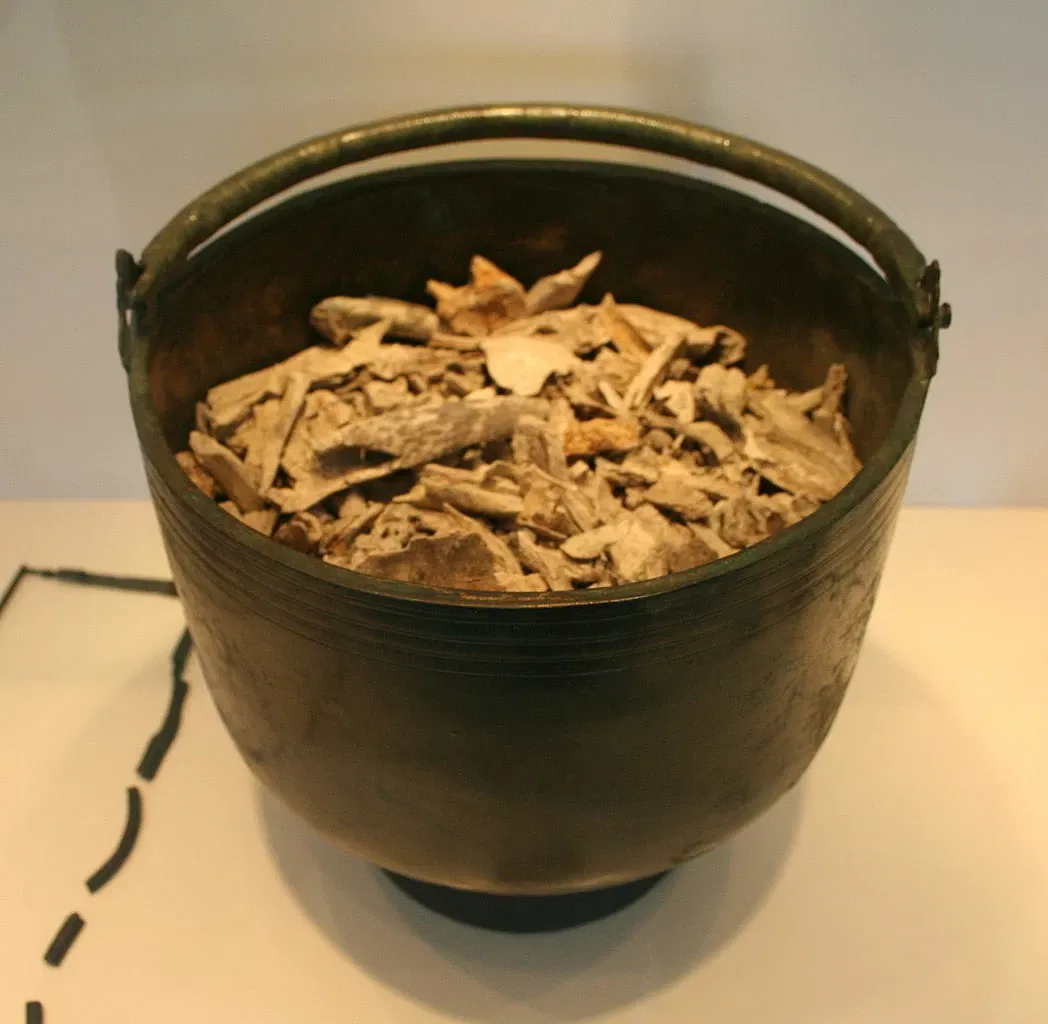 Landesmuseum für Natur und Mensch