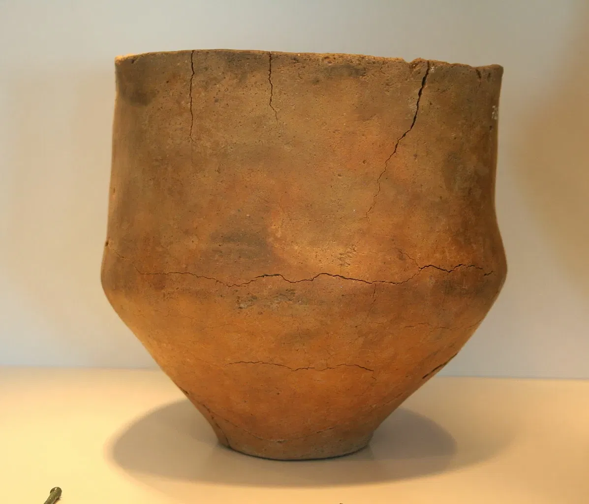 Landesmuseum für Natur und Mensch