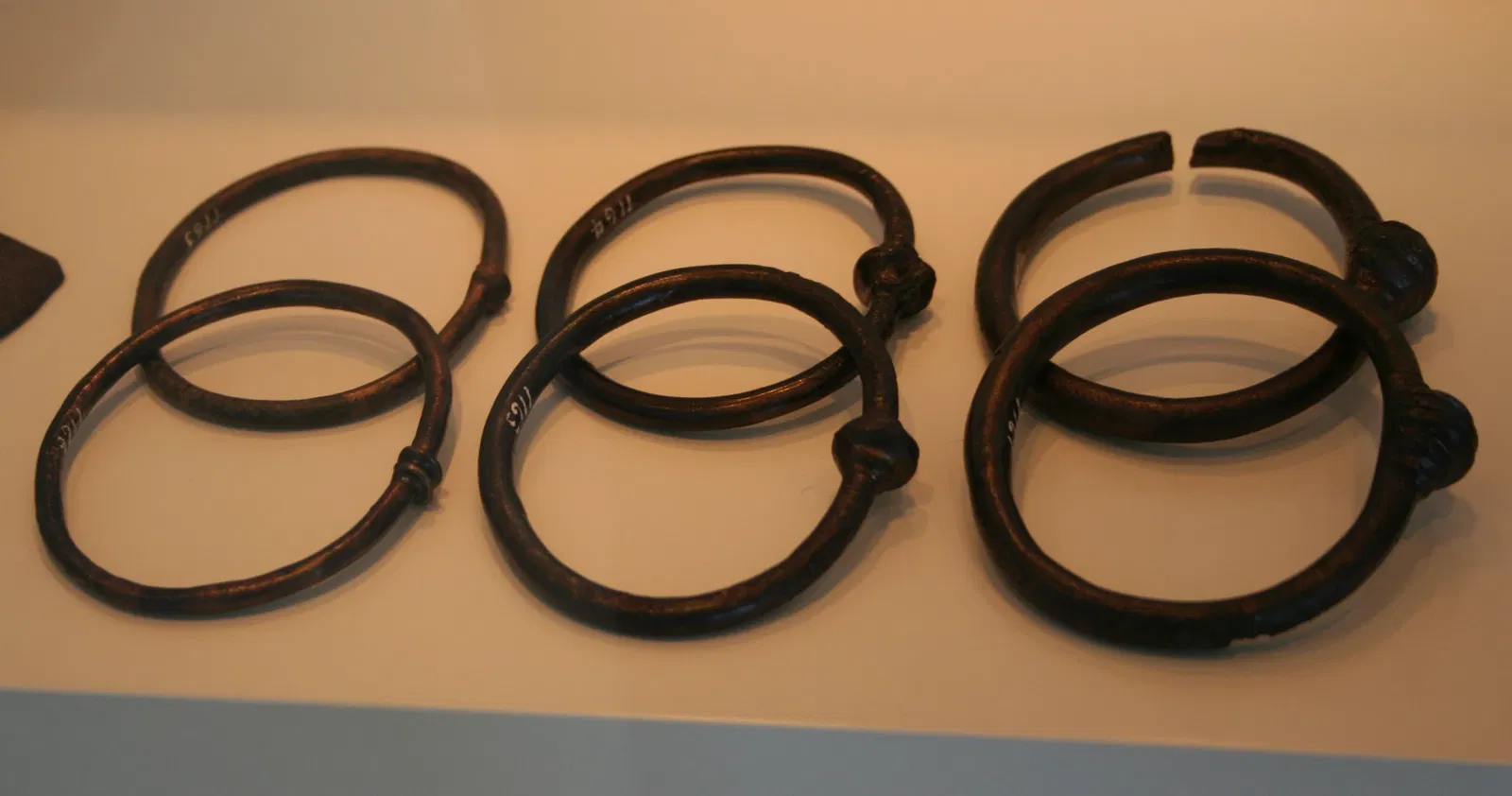 Landesmuseum für Natur und Mensch