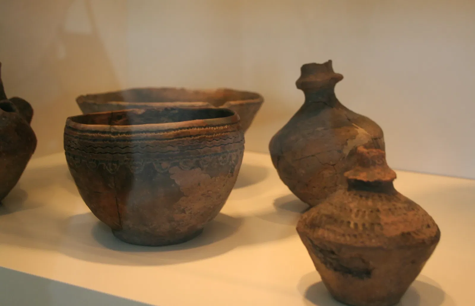 State Museum for Nature and Man